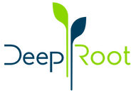 Deeproot Logo
